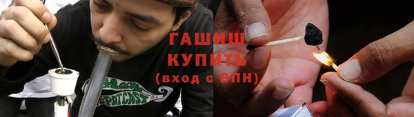 шишки Алзамай