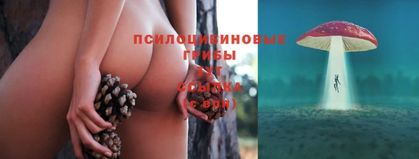 шишки Алзамай