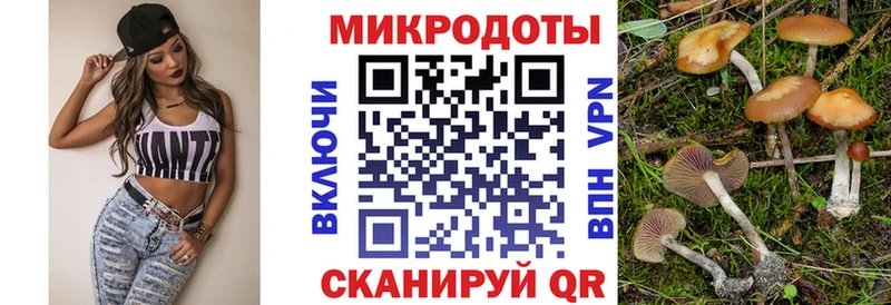 купить   Магадан  Псилоцибиновые грибы мицелий 
