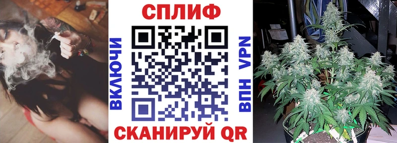 дарнет шоп  Магадан  Шишки марихуана SATIVA & INDICA 